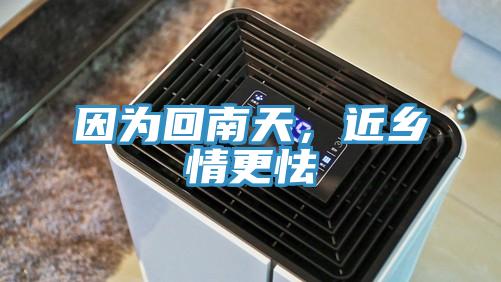 因為回南天，近鄉情更怯