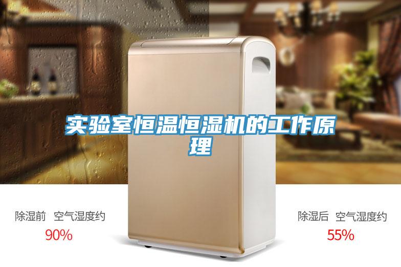 實(shí)驗室恒溫恒濕機的工作原理