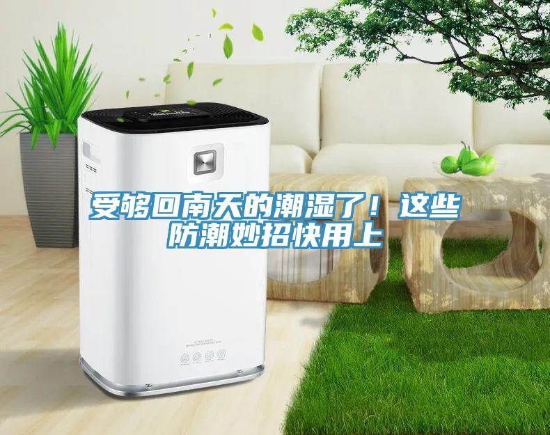 受夠回南天的潮濕了！這些防潮妙招快用上