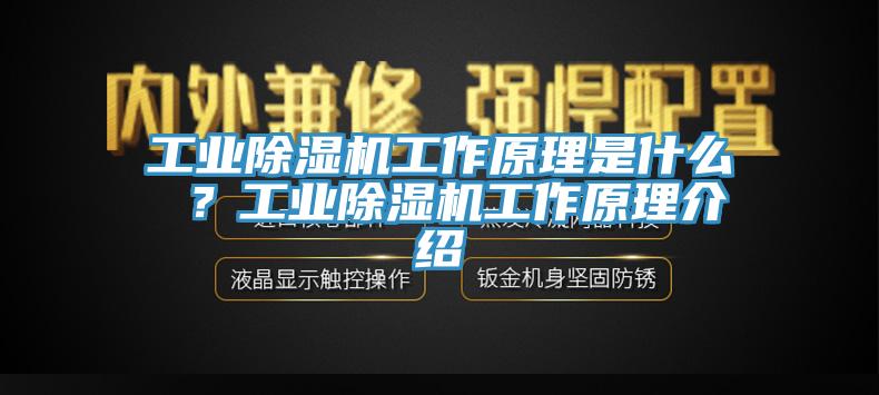 工業(yè)除濕機工作原理是什么 ？工業(yè)除濕機工作原理介紹