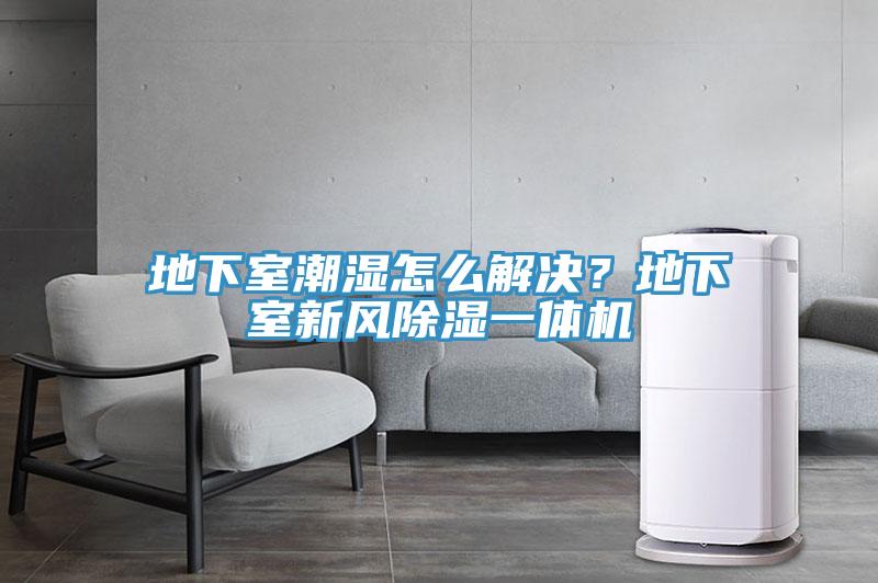 地下室潮濕怎么解決？地下室新風(fēng)除濕一體機