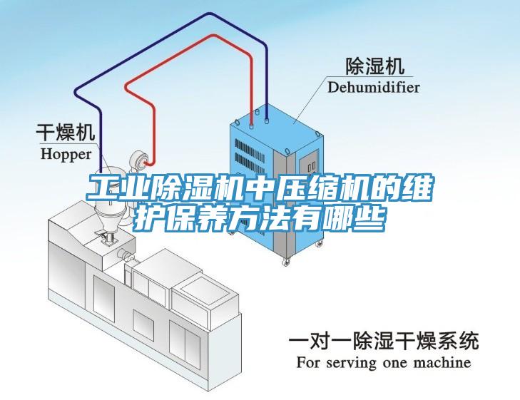 工業(yè)除濕機中壓縮機的維護保養方法有哪些