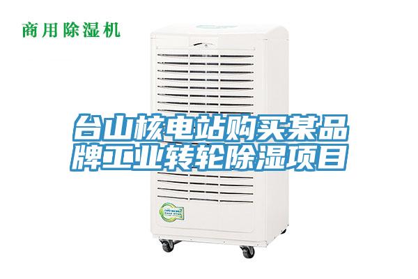 臺山核電站購買(mǎi)某品牌工業(yè)轉輪除濕項目