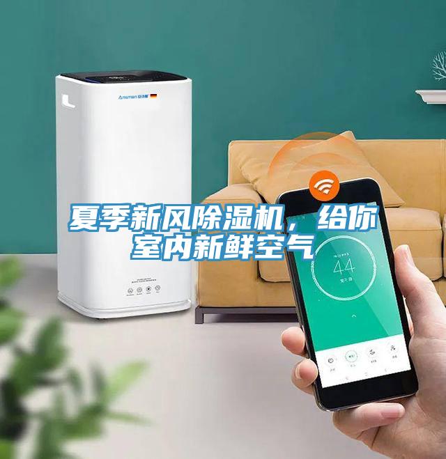 夏季新風(fēng)除濕機，給你室內新鮮空氣