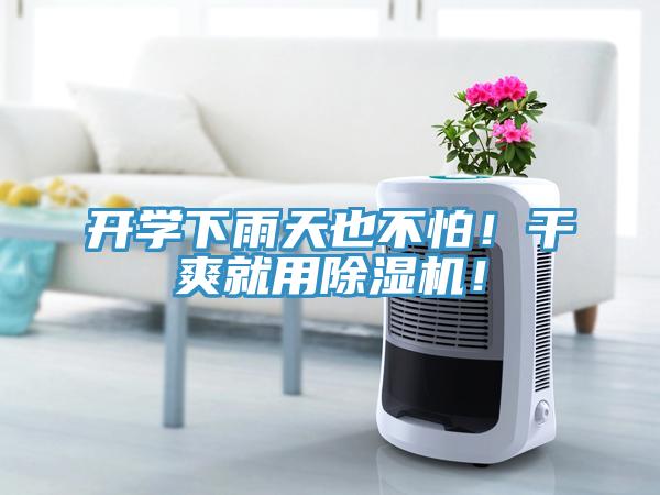 開(kāi)學(xué)下雨天也不怕！干爽就用除濕機！
