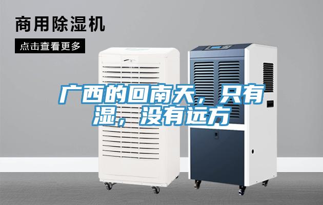 廣西的回南天，只有濕，沒(méi)有遠方