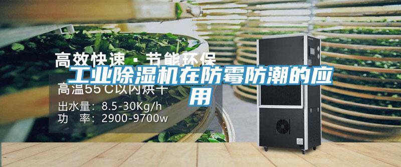 工業(yè)除濕機在防霉防潮的應用
