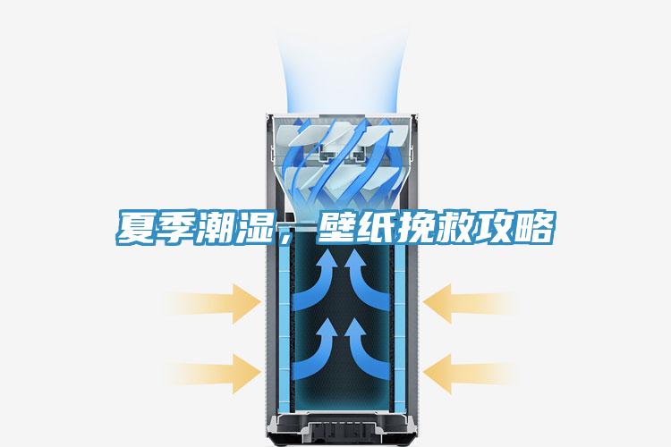 夏季潮濕，壁紙挽救攻略
