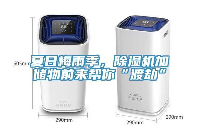 夏日梅雨季，除濕機加儲物前來(lái)幫你“渡劫”
