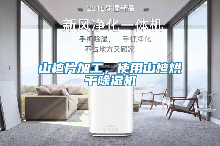 山楂片加工，使用山楂烘干除濕機