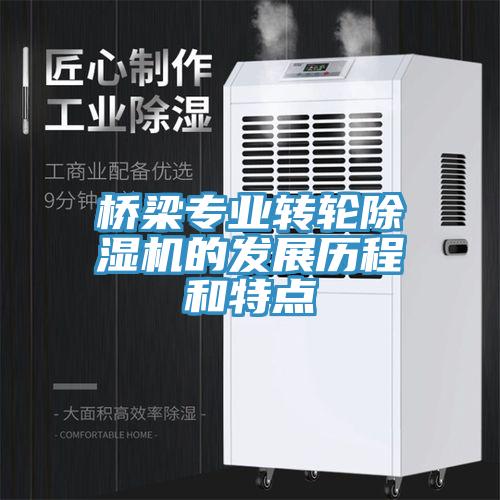 橋梁專(zhuān)業(yè)轉輪除濕機的發(fā)展歷程和特點(diǎn)