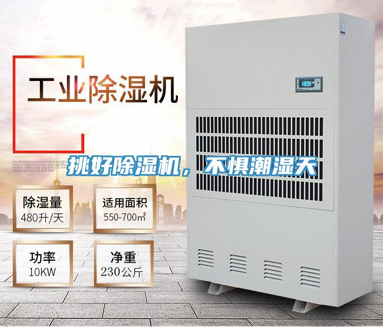 挑好除濕機，不懼潮濕天