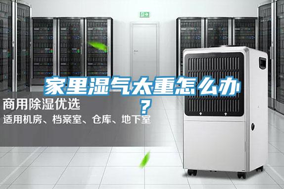 家里濕氣太重怎么辦？