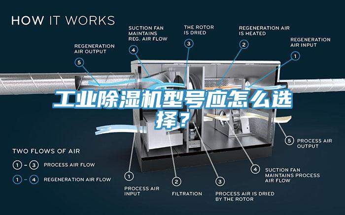工業(yè)除濕機型號應怎么選擇？