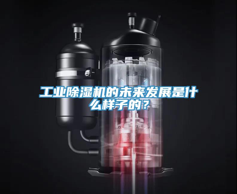 工業(yè)除濕機的未來(lái)發(fā)展是什么樣子的？