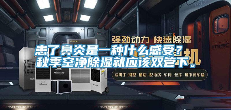 患了鼻炎是一種什么感受？ 秋季空凈除濕就應該雙管下。