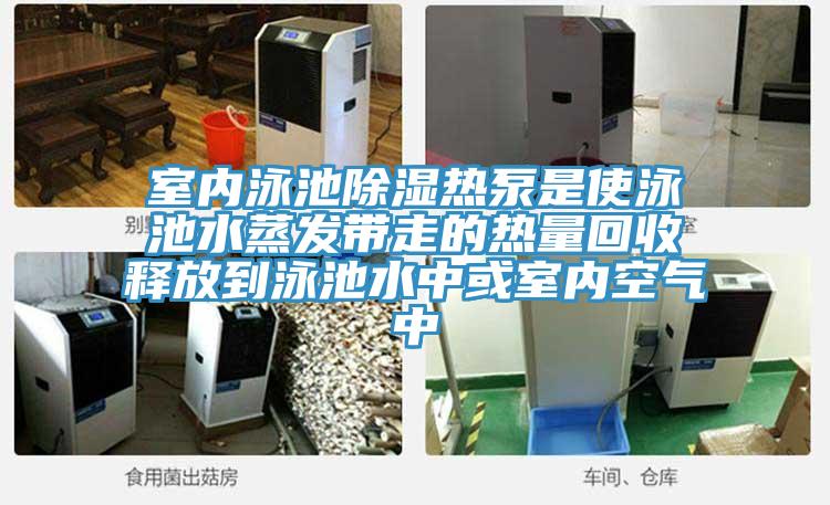 室內泳池除濕熱泵是使泳池水蒸發(fā)帶走的熱量回收釋放到泳池水中或室內空氣中
