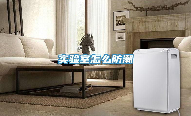實(shí)驗室怎么防潮