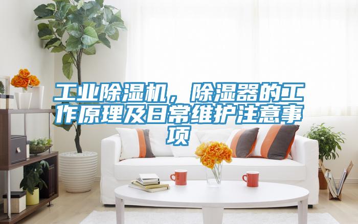 工業(yè)除濕機，除濕器的工作原理及日常維護注意事項