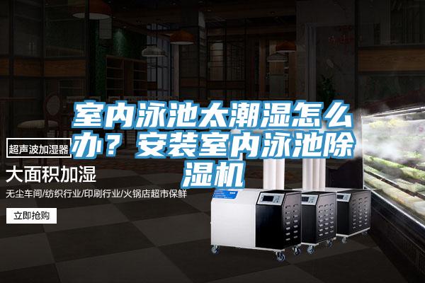 室內泳池太潮濕怎么辦？安裝室內泳池除濕機