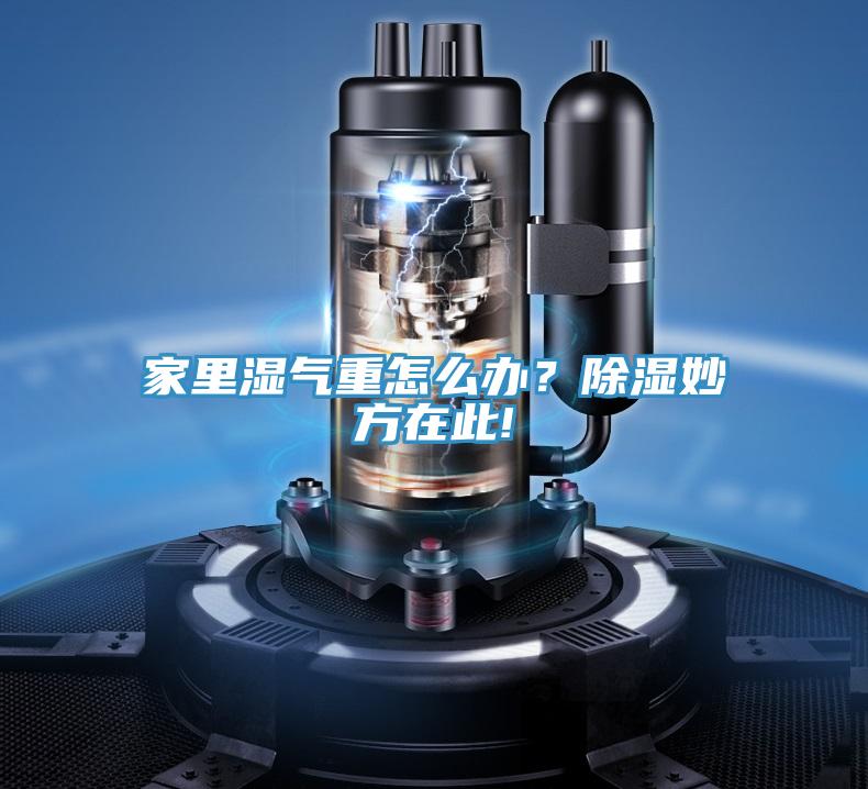 家里濕氣重怎么辦？除濕妙方在此!