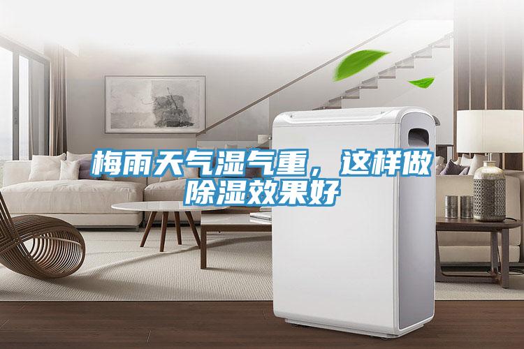 梅雨天氣濕氣重，這樣做除濕效果好
