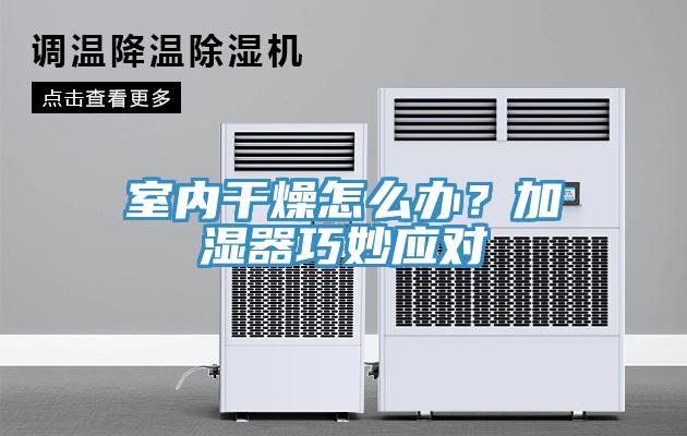 室內干燥怎么辦？加濕器巧妙應對