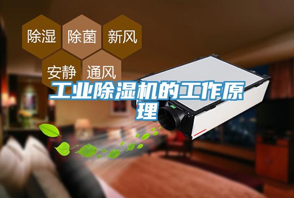 工業(yè)除濕機的工作原理