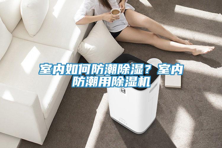 室內如何防潮除濕？室內防潮用除濕機