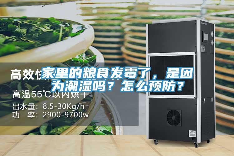 家里的糧食發(fā)霉了，是因為潮濕嗎？怎么預防？