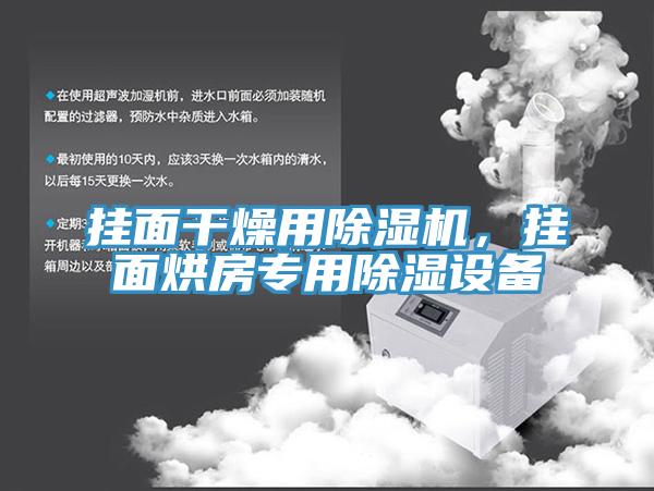 掛面干燥用除濕機，掛面烘房專(zhuān)用除濕設備