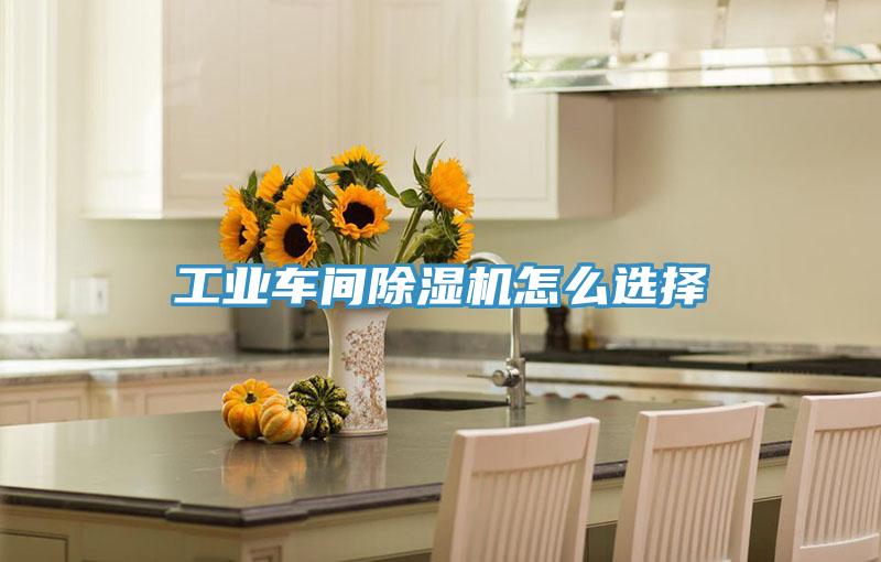工業(yè)車(chē)間除濕機怎么選擇