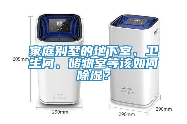 家庭別墅的地下室、衛生間、儲物室等該如何除濕？