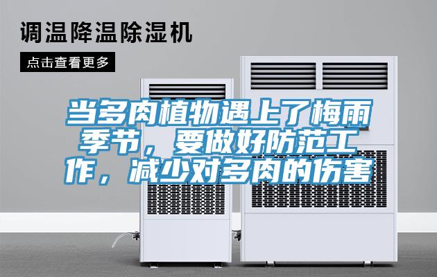 當多肉植物遇上了梅雨季節，要做好防范工作，減少對多肉的傷害