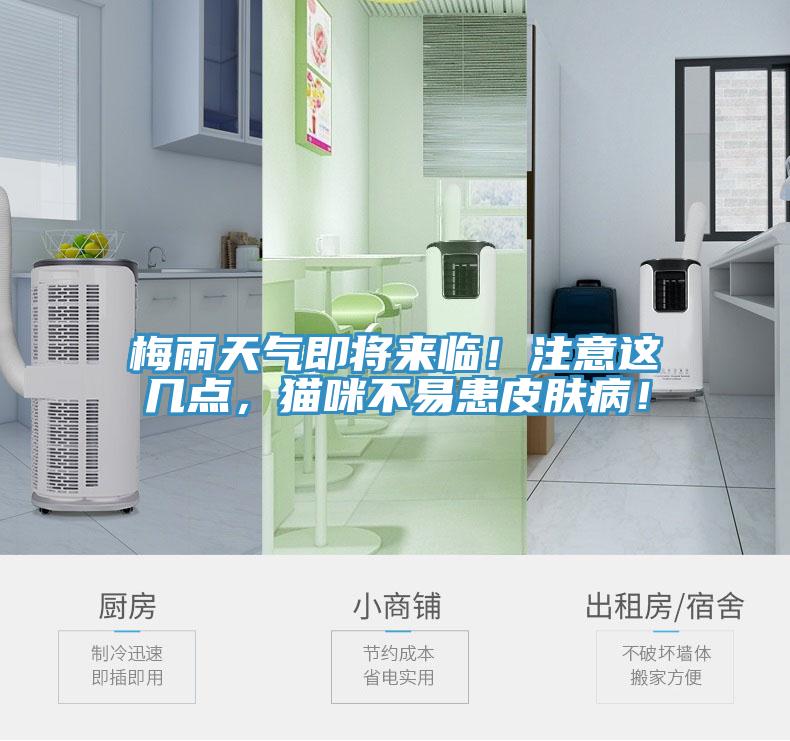 梅雨天氣即將來(lái)臨！注意這幾點(diǎn)，貓咪不易患皮膚??！