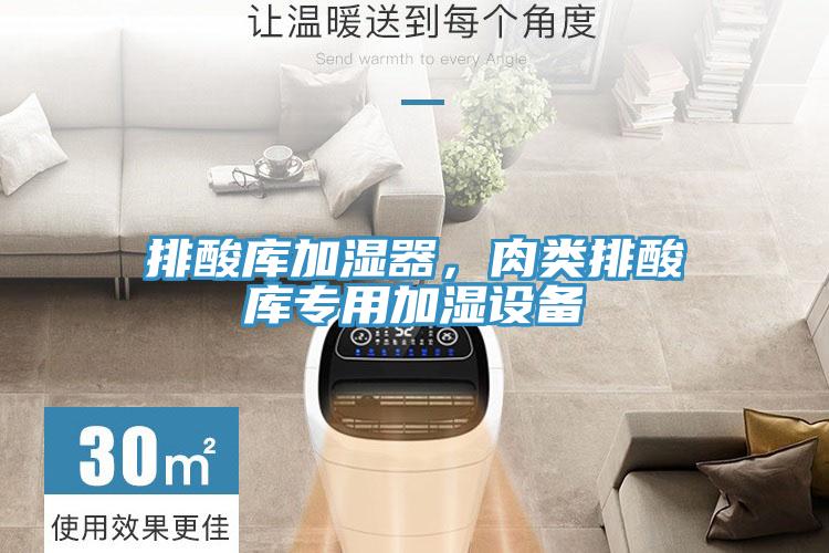 排酸庫加濕器，肉類(lèi)排酸庫專(zhuān)用加濕設備
