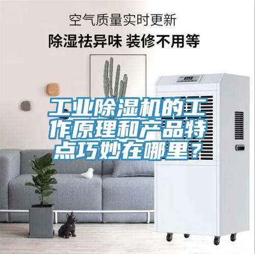 工業(yè)除濕機的工作原理和產(chǎn)品特點(diǎn)巧妙在哪里？