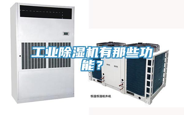 工業(yè)除濕機有那些功能？