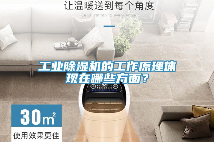 工業(yè)除濕機的工作原理體現在哪些方面？