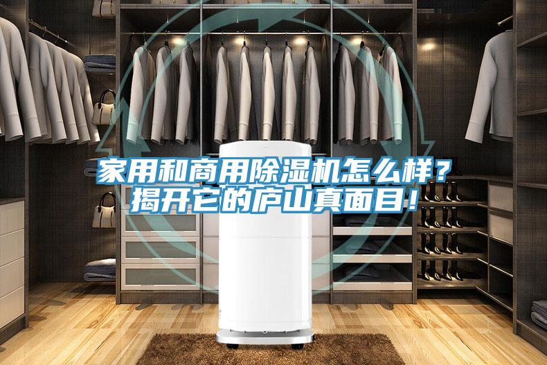 家用和商用除濕機怎么樣？揭開(kāi)它的廬山真面目！