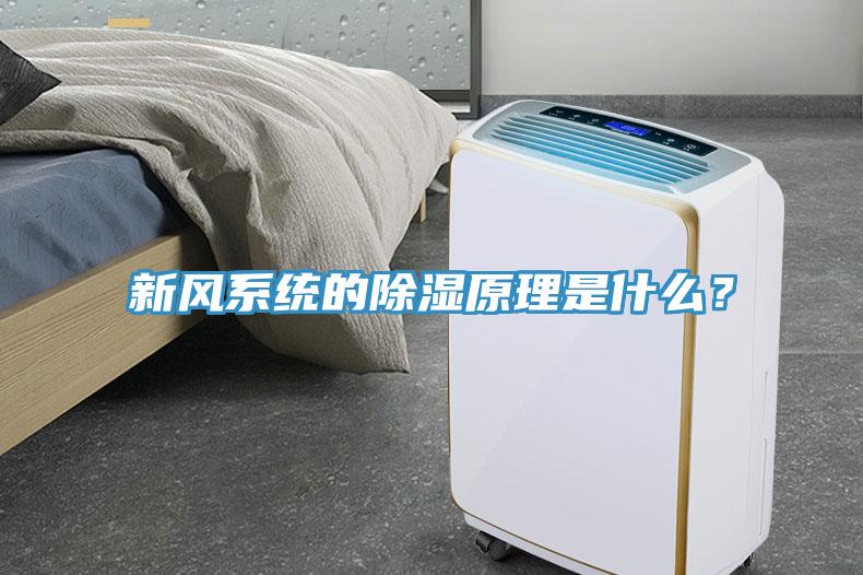 新風(fēng)系統的除濕原理是什么？