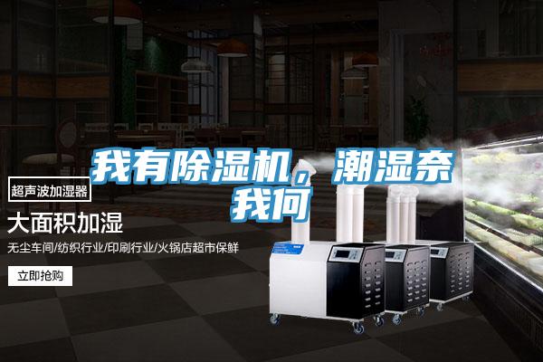 我有除濕機，潮濕奈我何