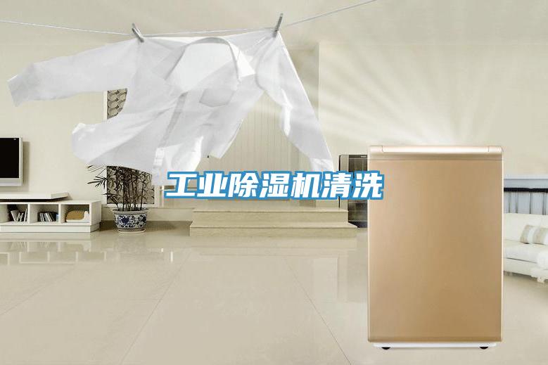 工業(yè)除濕機清洗