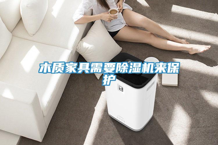 木質(zhì)家具需要除濕機來(lái)保護