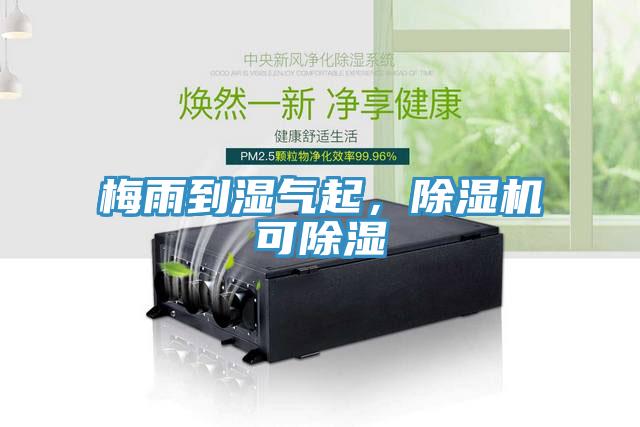梅雨到濕氣起，除濕機可除濕