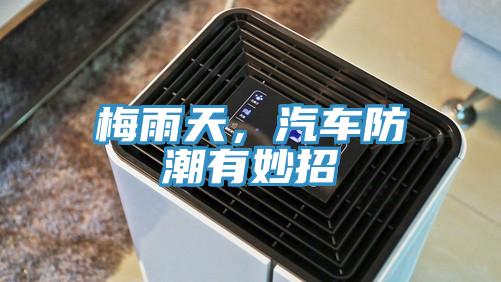 梅雨天，汽車(chē)防潮有妙招