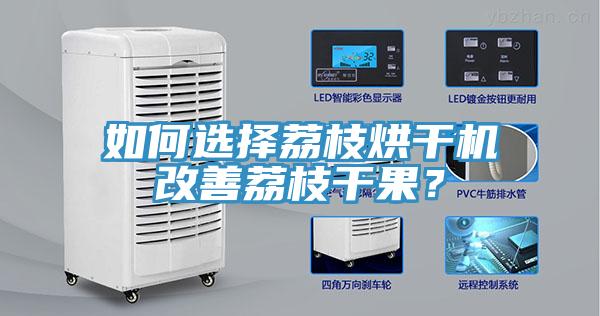 如何選擇荔枝烘干機改善荔枝干果？