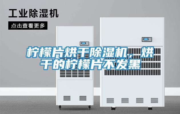 檸檬片烘干除濕機，烘干的檸檬片不發(fā)黑