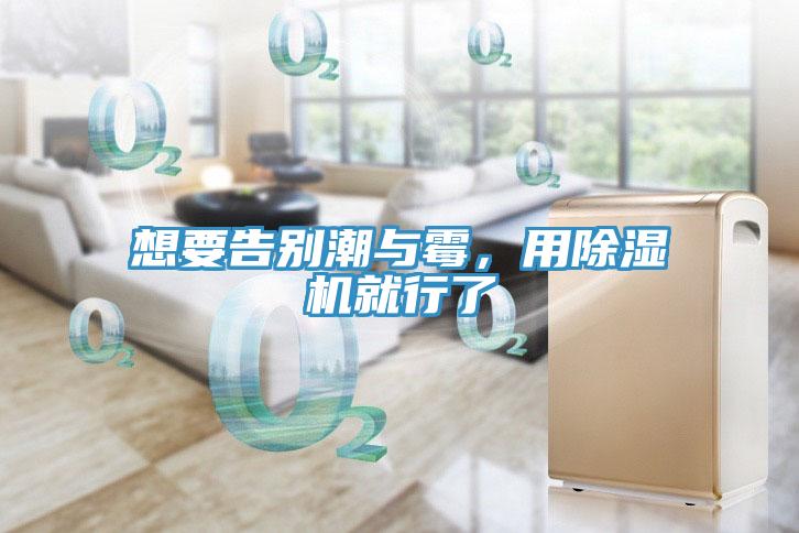 想要告別潮與霉，用除濕機就行了