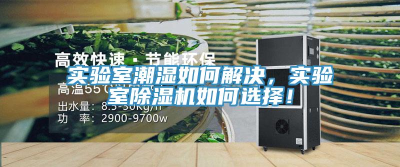 實(shí)驗室潮濕如何解決，實(shí)驗室除濕機如何選擇！